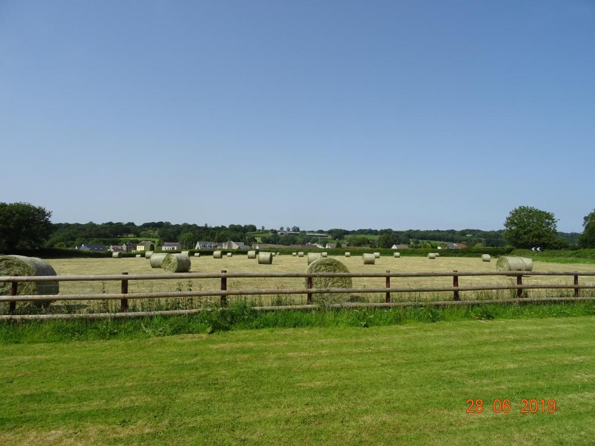 Vila Red Kite Barn Ammanford Exteriér fotografie